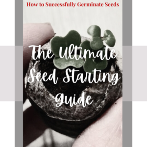 ultimate seed starting guide