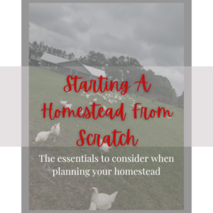 starting a homestead from scratch