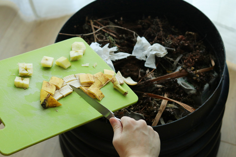 adding kitchen scraps to the worm bin