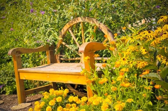 bench_in_garden_with_flowers