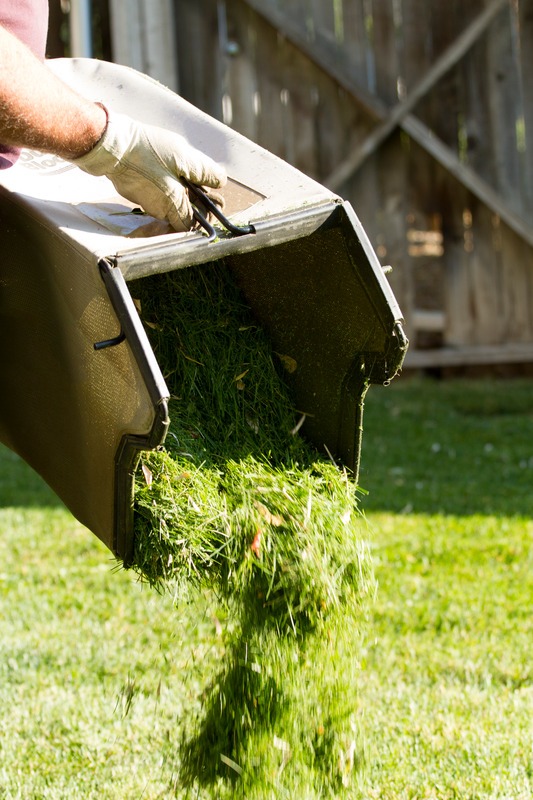 dumping grass clippings
