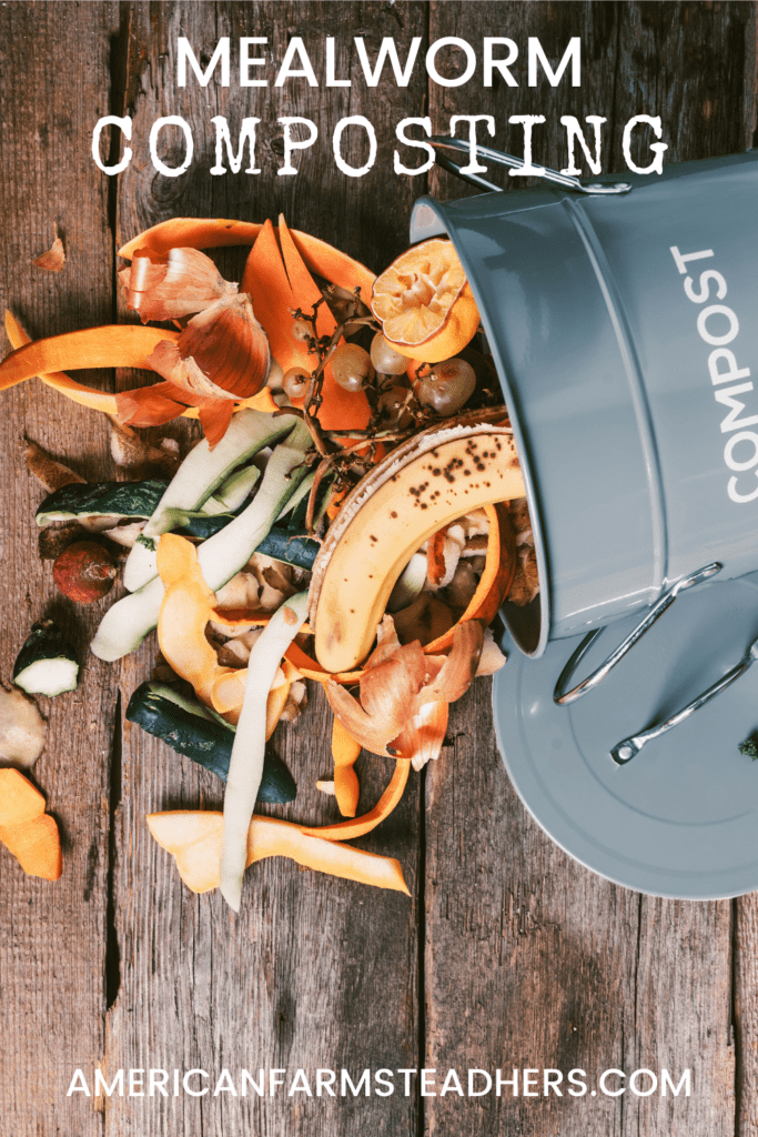 food scraps for mealworm composting