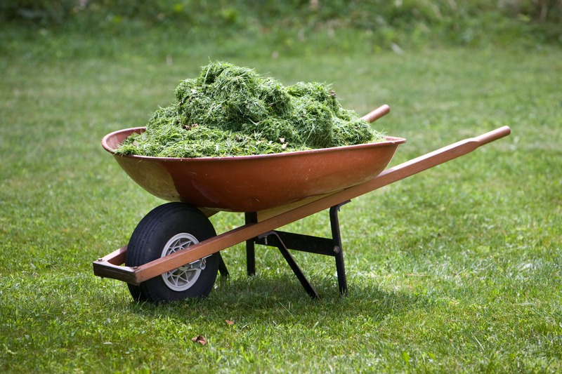 wheel barrel of grass clippings