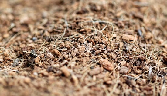 shredded mulch