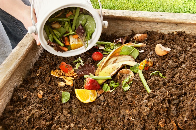 vegetable scraps added to compost 