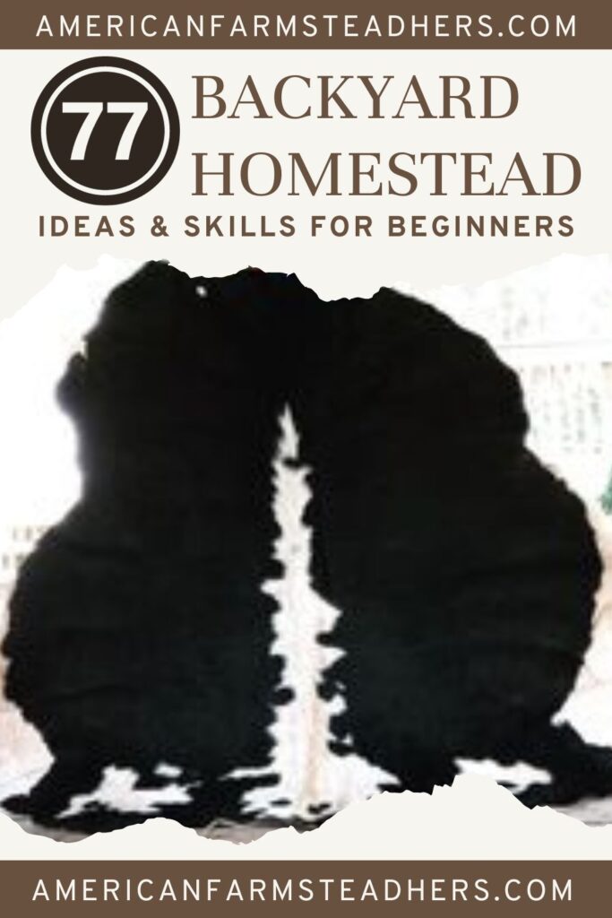 backyard homestead ideas