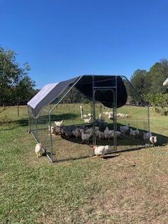 metal chicken coop