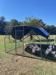 metal chicken coop
