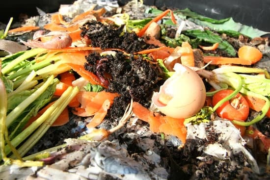 kitchen scraps for a compost pile