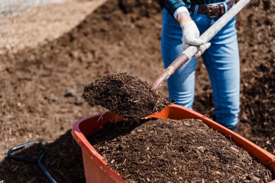 shoveling mulch out of wheelbarrow
