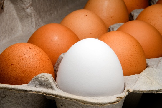 brown and white eggs in a carton