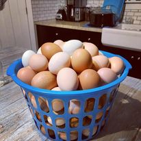 basket of eggs