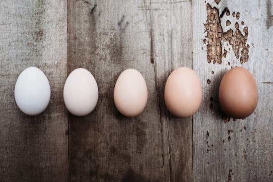 light colored eggs in a row