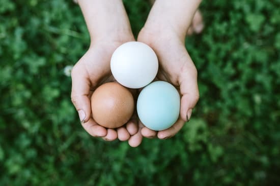 handful of colorful eggs