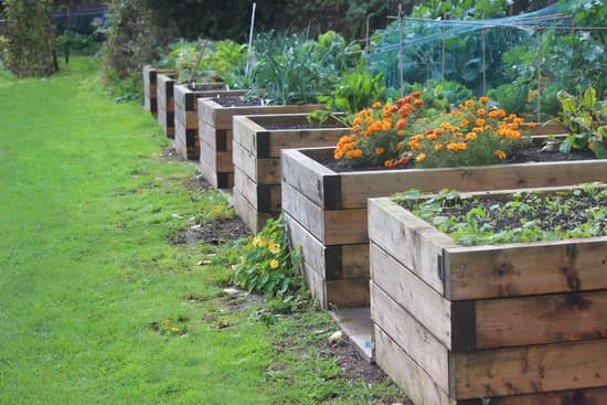 a garden of raised beds