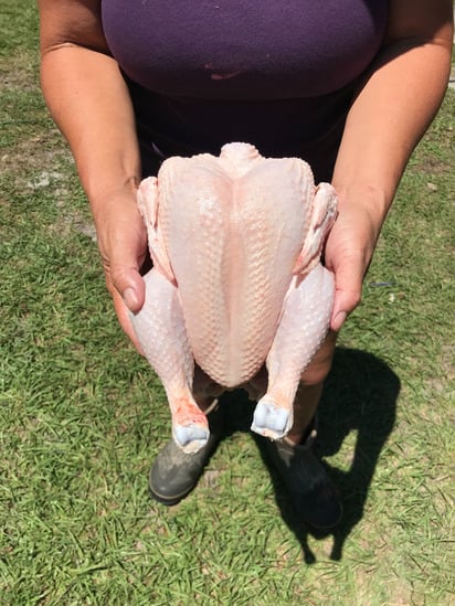 home butchered chicken