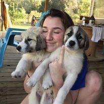 girl holding two lgd puppies