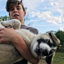 boy holding lgd puppy