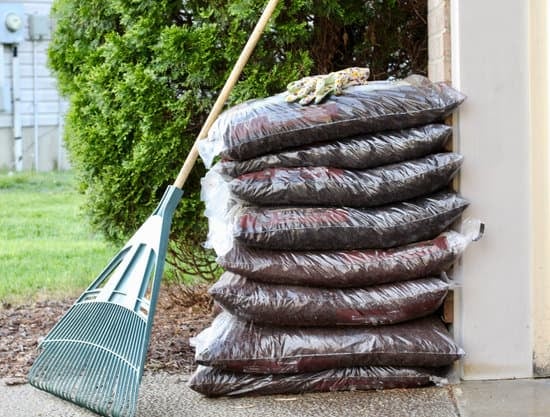 bags of mulch stacked up with a rake