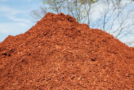 a mountain of mulch