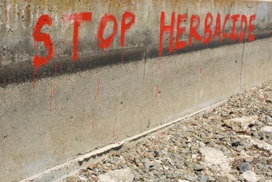 Stop-Herbicide-Graffiti