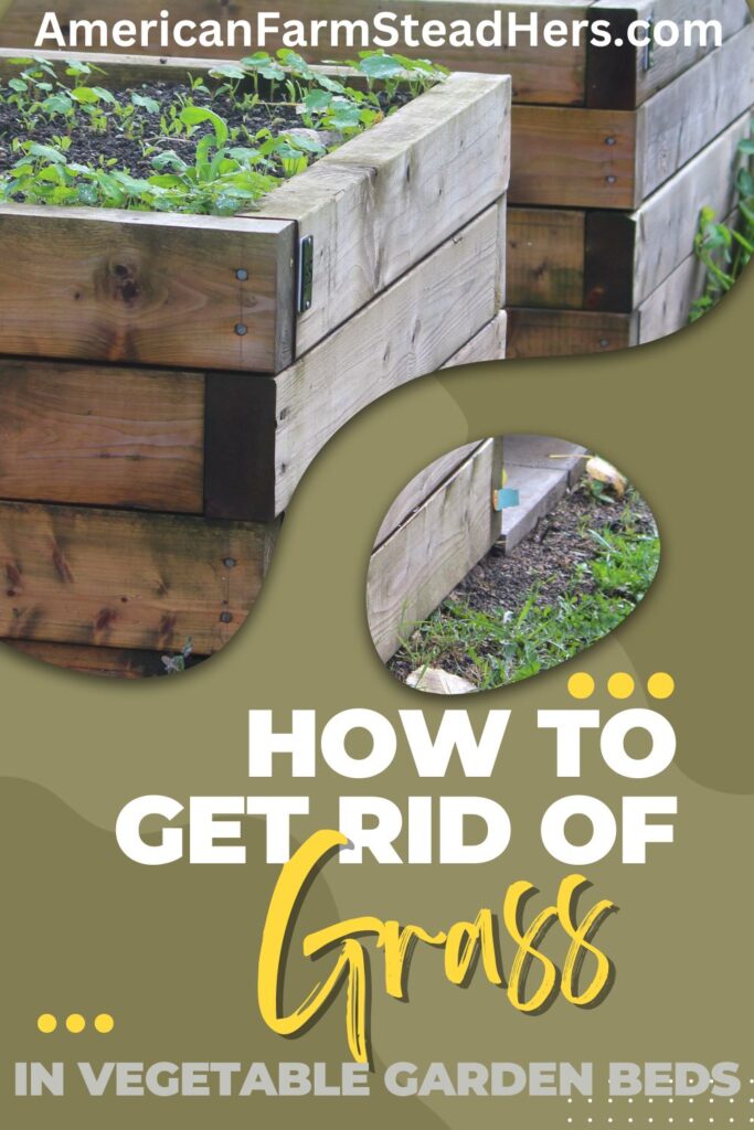 how to get rid of grass in vegetable garden