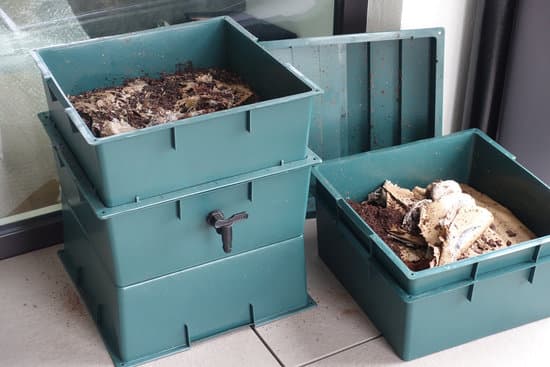 worm bins
