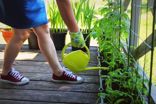 a lady watering plants