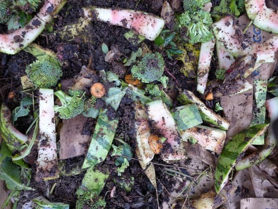 kitchen scraps in a compost pile