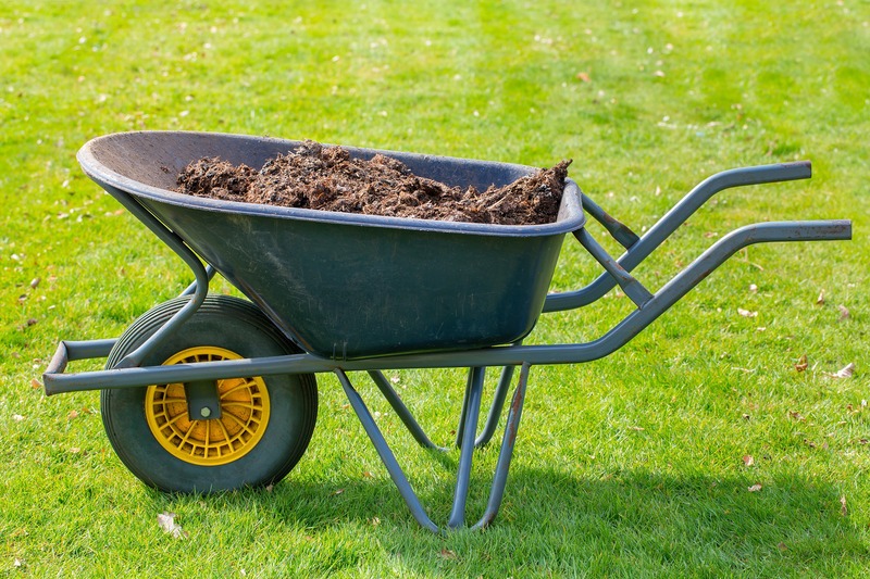 wheelbarrow-with-cow-manure