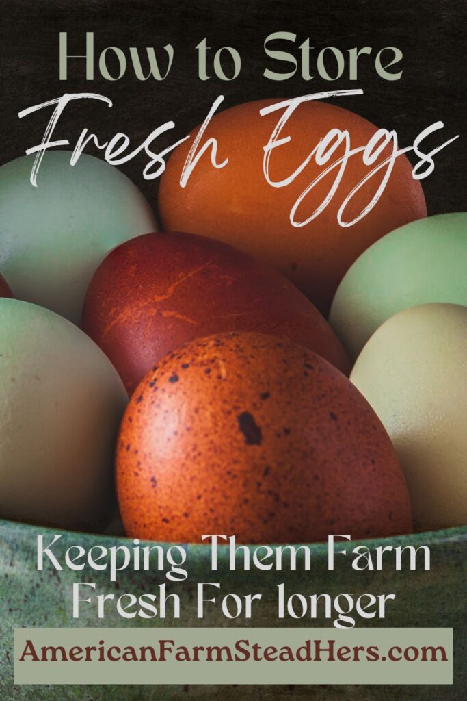 how to store fresh eggs