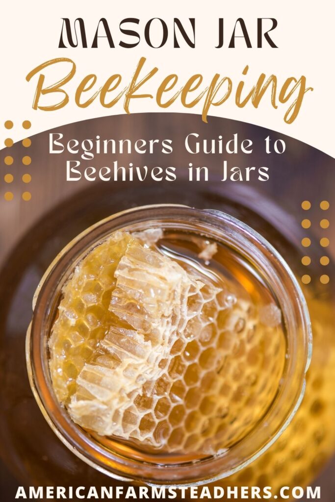 mason jar beekeeping