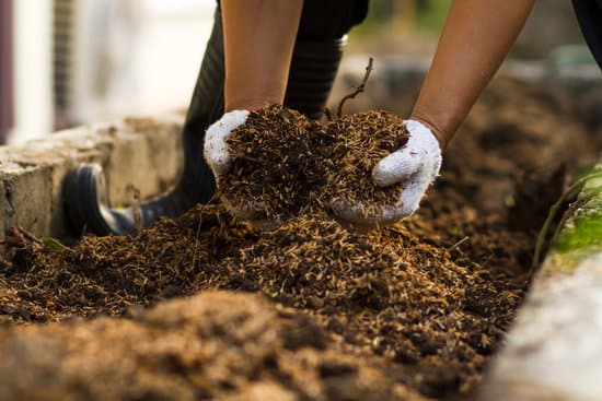 handful of garden soil