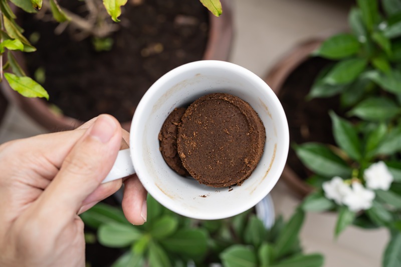 are-coffee-grounds-good-for-plants