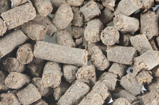 close up of chicken manure pellets