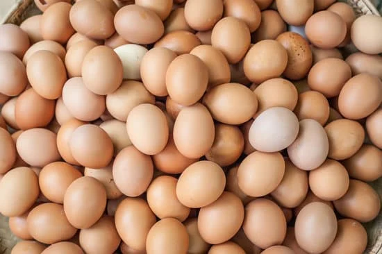 a bunch of eggs