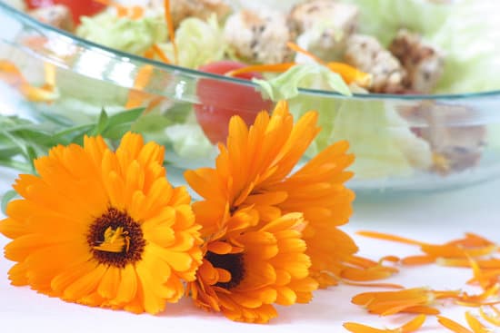 edible flowers for a salad