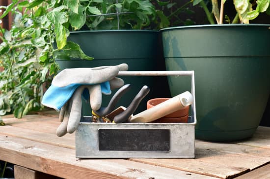 homestead-gift-ideas