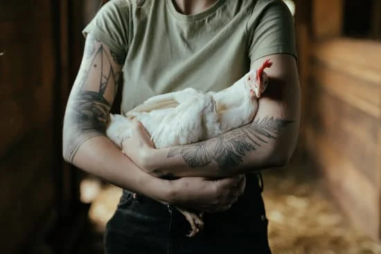 a woman holding a chicken