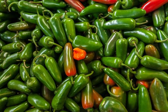 a bunch of jalapenos