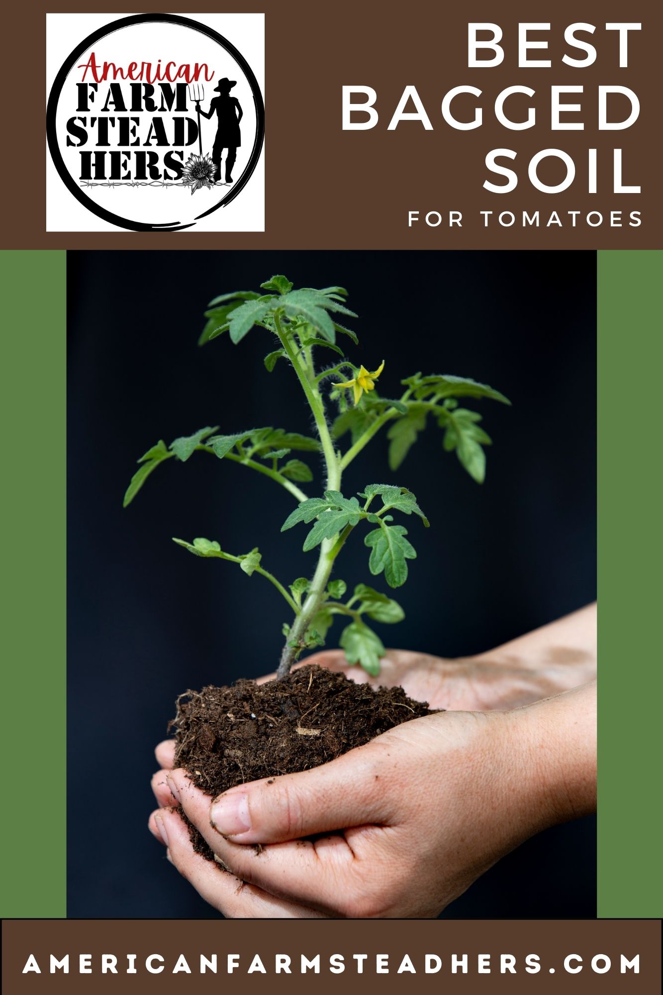 best-bagged-soil-for-tomatoes-featured-image