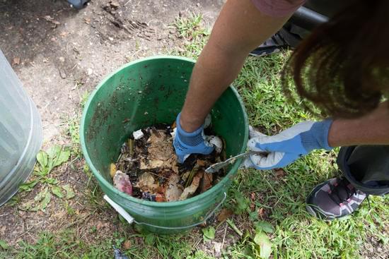 kitchen scraps in abucket