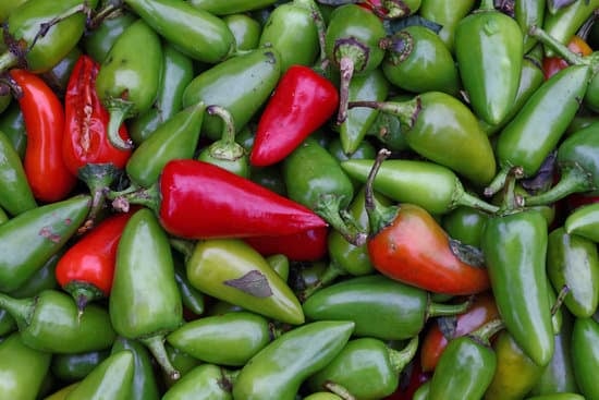 picked red and green jalapenos