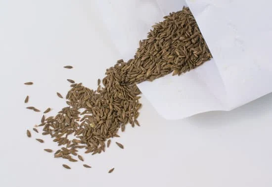 envelope of lettuce seeds