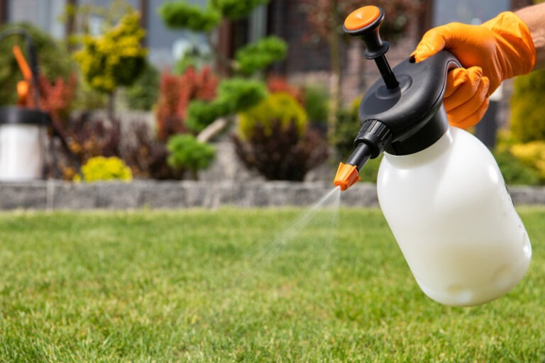 Herbicide Removal: How to Get Rid of Roundup in Soil