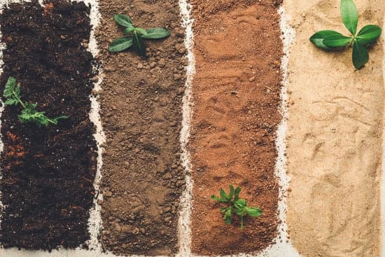 different types of soil