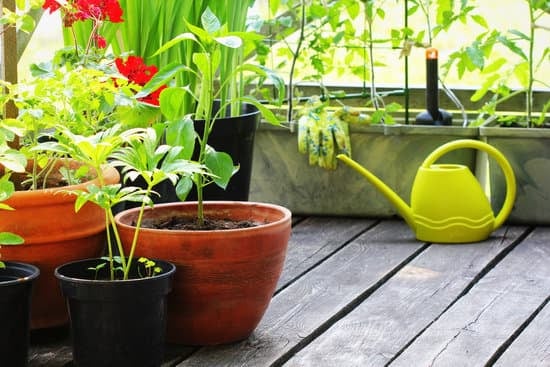 container vegetable gardening