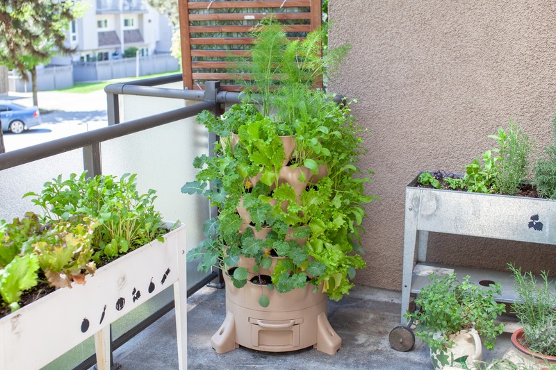 apartment-balcony-with-raised-garden-beds-and-vertical-grow-tower