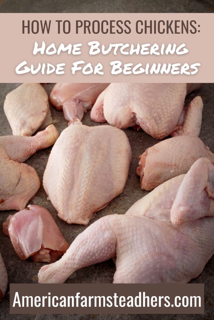 how to process chickens