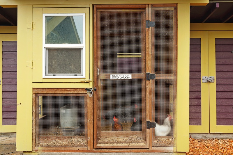 a hardware cloth chicken coop